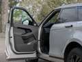 Land Rover Range Rover Evoque D165 AWD S 360 W-Paket Silber - thumbnail 15
