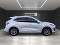 Ford Kuga PluHybrid Vignale AHK*LED*VollLeder*Memory Weiß - thumbnail 9