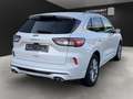 Ford Kuga PluHybrid Vignale AHK*LED*VollLeder*Memory Weiß - thumbnail 5