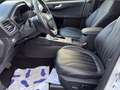 Ford Kuga PluHybrid Vignale AHK*LED*VollLeder*Memory Weiß - thumbnail 10