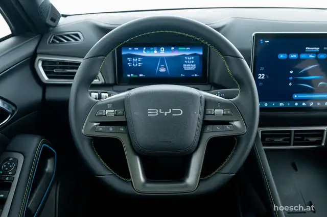 Byd Atto 2 view 6