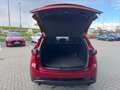 Mazda CX-5 2.5 (194PS) AWD Autom. Homura Leder-S GSD W Rouge - thumbnail 8