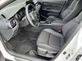 Toyota C-HR Hybrid C-LUB PDC*NAVI Klima Navi Rückfahrkamera Blanco - thumbnail 10