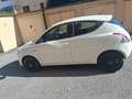Lancia Ypsilon Ypsilon  1.2 8v Elefantino 69cv my14 Blanc - thumbnail 4