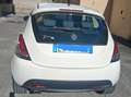 Lancia Ypsilon Ypsilon  1.2 8v Elefantino 69cv my14 Blanc - thumbnail 5