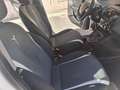 Lancia Ypsilon Ypsilon  1.2 8v Elefantino 69cv my14 Blanc - thumbnail 7