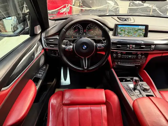 BMW X6 view 8