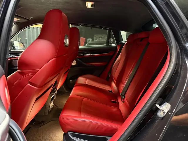 BMW X6 view 11