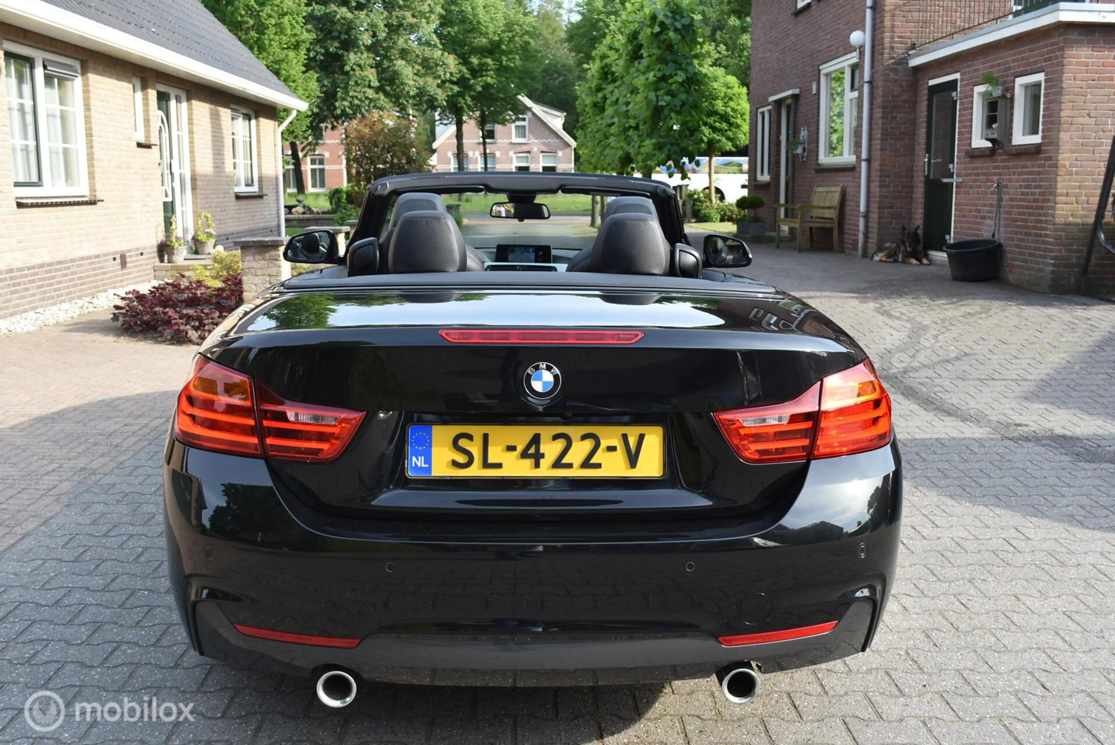 BMW 435 4-serie Cabrio 435i High Executive M Sport 340pk v — photo 6