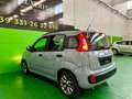 Fiat Panda FireFly S&S Benz-Hybrida 69CV 51KW 70.000km XNeop Blu/Azzurro - thumbnail 4