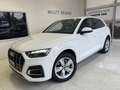 Audi Q5 Q5 II 2020 40 2.0 tdi mhev 12V quattro s-tronic Weiß - thumbnail 1