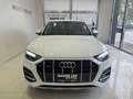 Audi Q5 Q5 II 2020 40 2.0 tdi mhev 12V quattro s-tronic Weiß - thumbnail 5