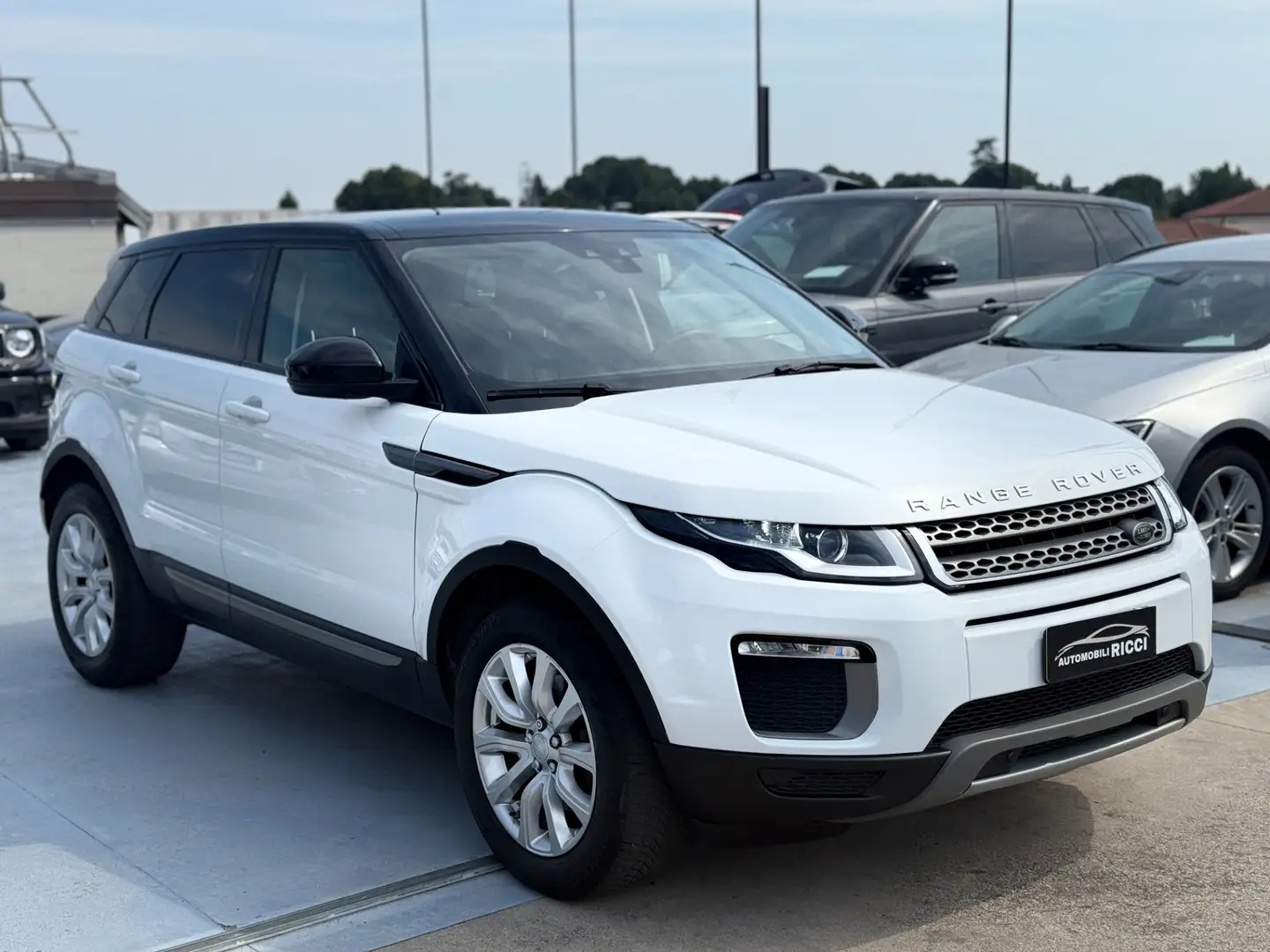 Land Rover Range Rover Evoque Range Rover Evoque 2.0 TD4 180 CV 5p. SE Bianco - 1