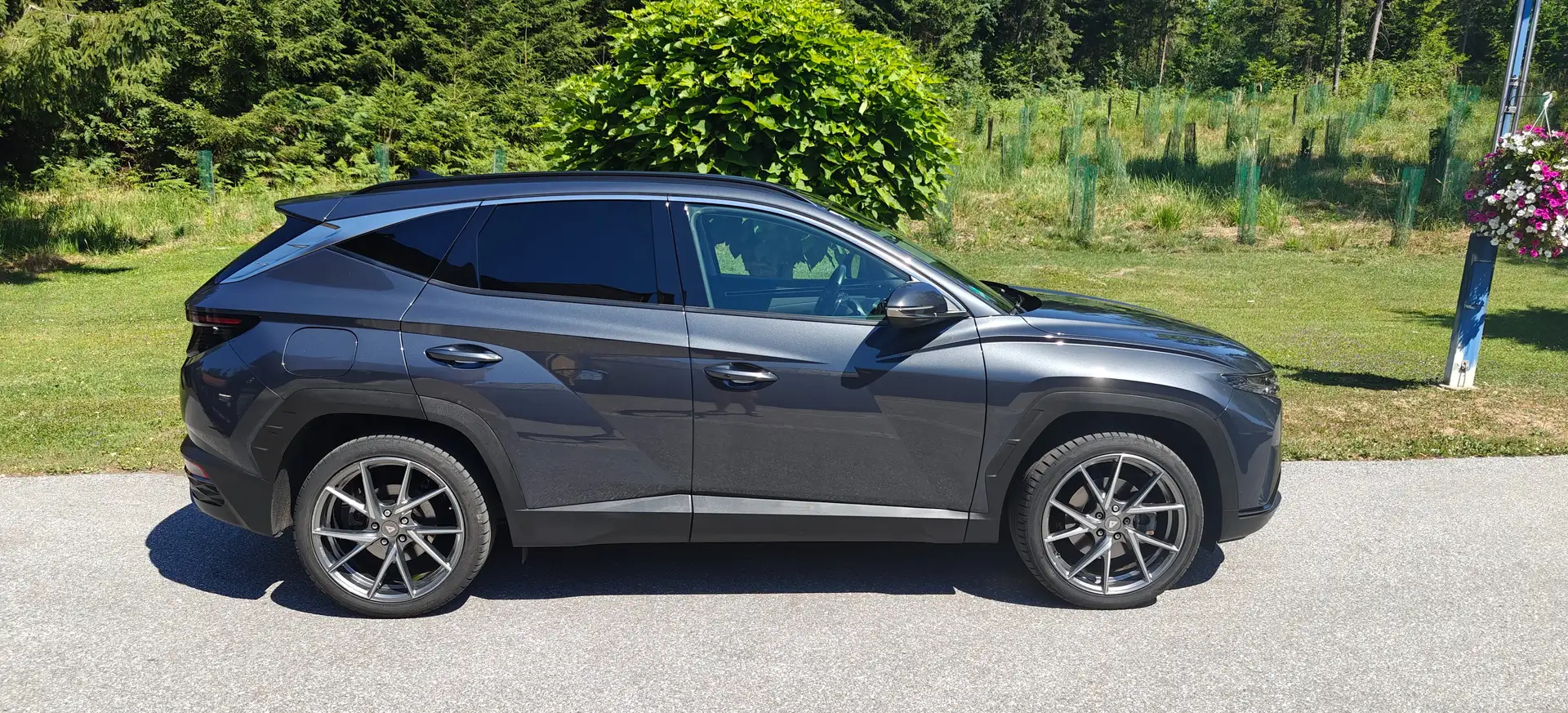 Hyundai TUCSON Tucson 1,6 T-GDI Plug-In 4WD Trend Line Auto. Grau - 1
