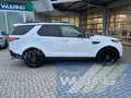 Land Rover Discovery HSE SD4 Autom. Leder 7-Sitzer Head-Up Luftfed. Білий - thumbnail 3