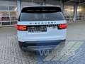 Land Rover Discovery HSE SD4 Autom. Leder 7-Sitzer Head-Up Luftfed. Weiß - thumbnail 9