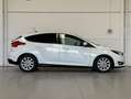 Ford Focus 2.0TDCi Auto-S&S Sport Powershift 150 Weiß - thumbnail 5