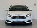 Ford Focus 2.0TDCi Auto-S&S Sport Powershift 150 Weiß - thumbnail 2