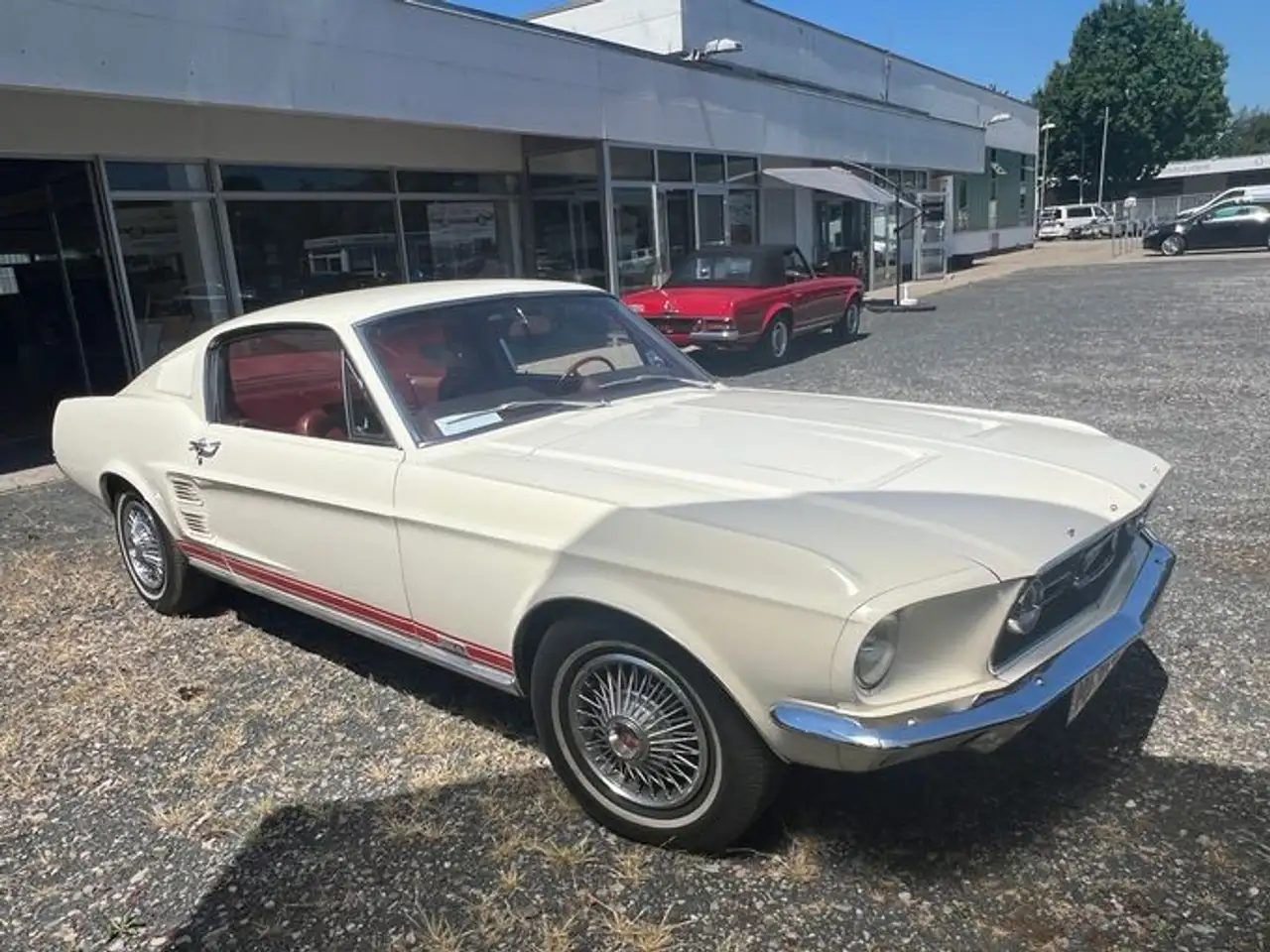 Ford Mustang Fastback GTA 6390 ccm Big Block, foto 4