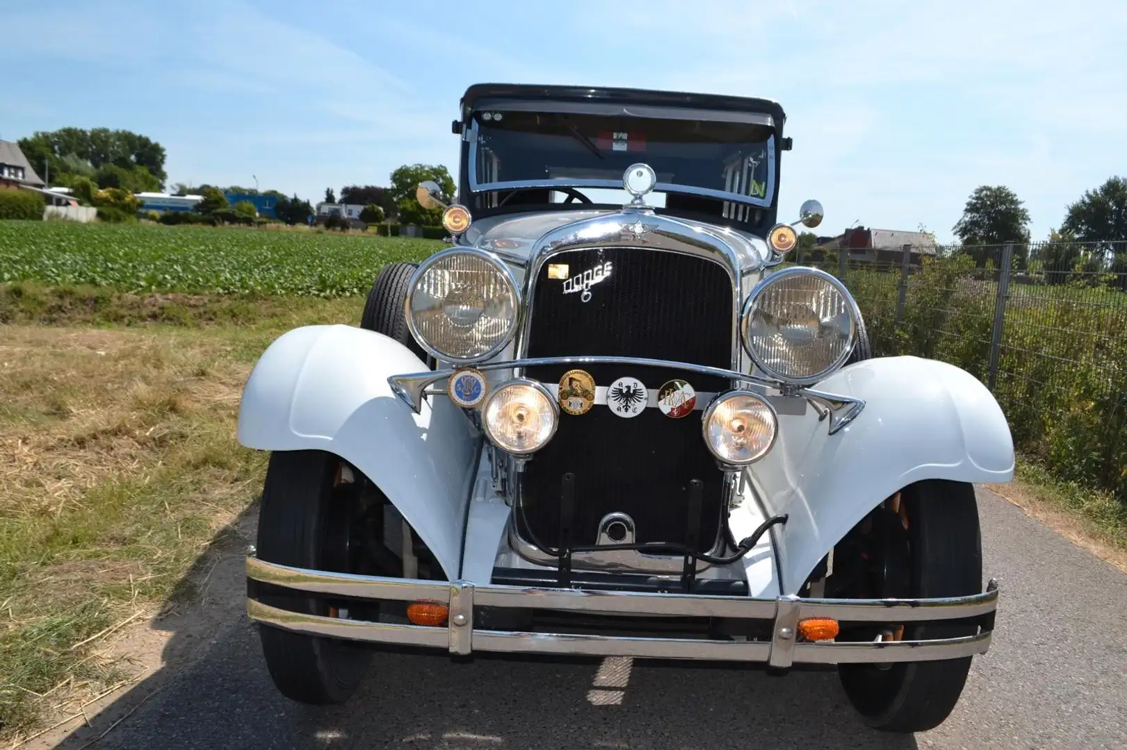 Dodge Victory Serie DA 1929 Oldtimer Biały - 2