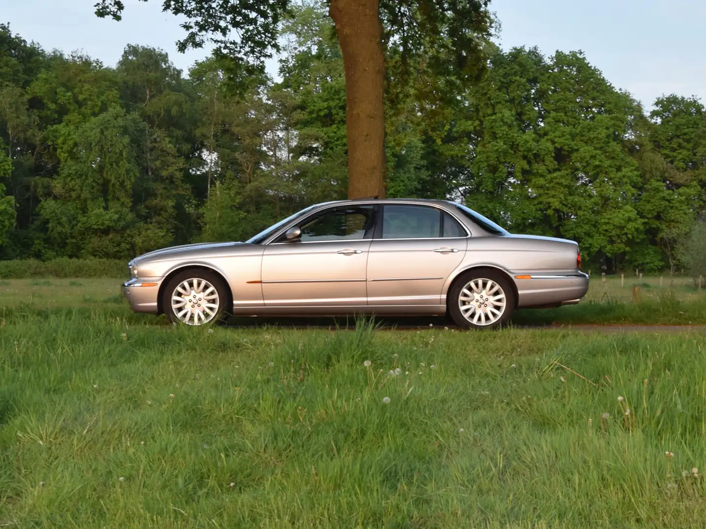 Jaguar XJ 3.0 V6 Grijs - 1