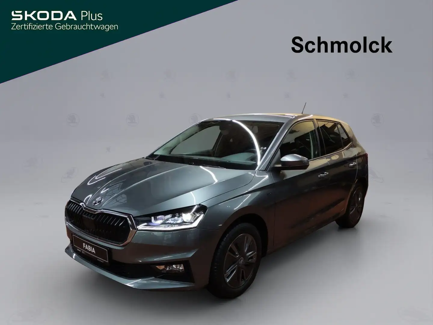 Skoda Fabia Drive 1.0 MPI 80 PS CLIMATRONIC LED PDC Grau - 1