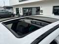 BMW X5 xDrive 40d M Sport LED Pano SHZ Sthg ViCo Weiß - thumbnail 14