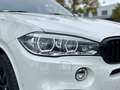 BMW X5 xDrive 40d M Sport LED Pano SHZ Sthg ViCo Weiß - thumbnail 9