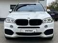 BMW X5 xDrive 40d M Sport LED Pano SHZ Sthg ViCo Weiß - thumbnail 8