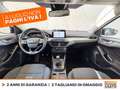Ford Focus active 1.0t ecoboost h 125cv Bianco - thumbnail 11