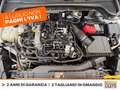Ford Focus active 1.0t ecoboost h 125cv Bianco - thumbnail 12