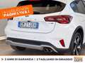 Ford Focus active 1.0t ecoboost h 125cv Bianco - thumbnail 18