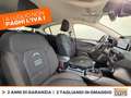 Ford Focus active 1.0t ecoboost h 125cv Bianco - thumbnail 8