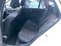 Mercedes-Benz C 200 T CDI BlueEfficiency Xenon, Comand, PDC, Weiß - thumbnail 11