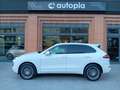 Porsche Cayenne 3.0 diesel tiptronic Wit - thumbnail 6