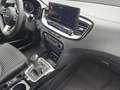 Kia Ceed / cee'd CEED 1.5 T-GDI ULTIMATE EDITION MJ25 Grau - thumbnail 18
