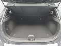 Kia Ceed / cee'd CEED 1.5 T-GDI ULTIMATE EDITION MJ25 Grau - thumbnail 15