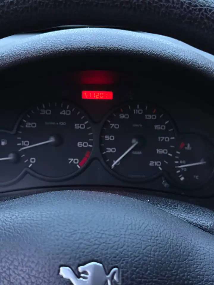 Peugeot 206 75 Style, foto 7