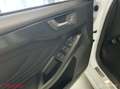 Ford Focus 1.5 EcoBoost ST Line Carplay|Camera + Meer|Dealer Wit - thumbnail 19