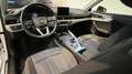 Audi A4 allroad 2.0 TDI 190 CV S tronic Business Evolution Bianco - thumbnail 10