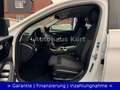 Mercedes-Benz C 300 de T Avantgarde *SPUR*1.HD*STANDH*TÜV NEU* Blanco - thumbnail 11
