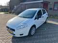 Fiat Punto 1.2 Actual Wit - thumbnail 1