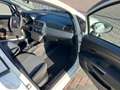 Fiat Punto 1.2 Actual Wit - thumbnail 6