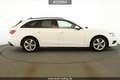 Audi A4 A4 Avant 35 TDI advanced#HuD#LED#Kamera#ACC#DSG# Weiß - thumbnail 7