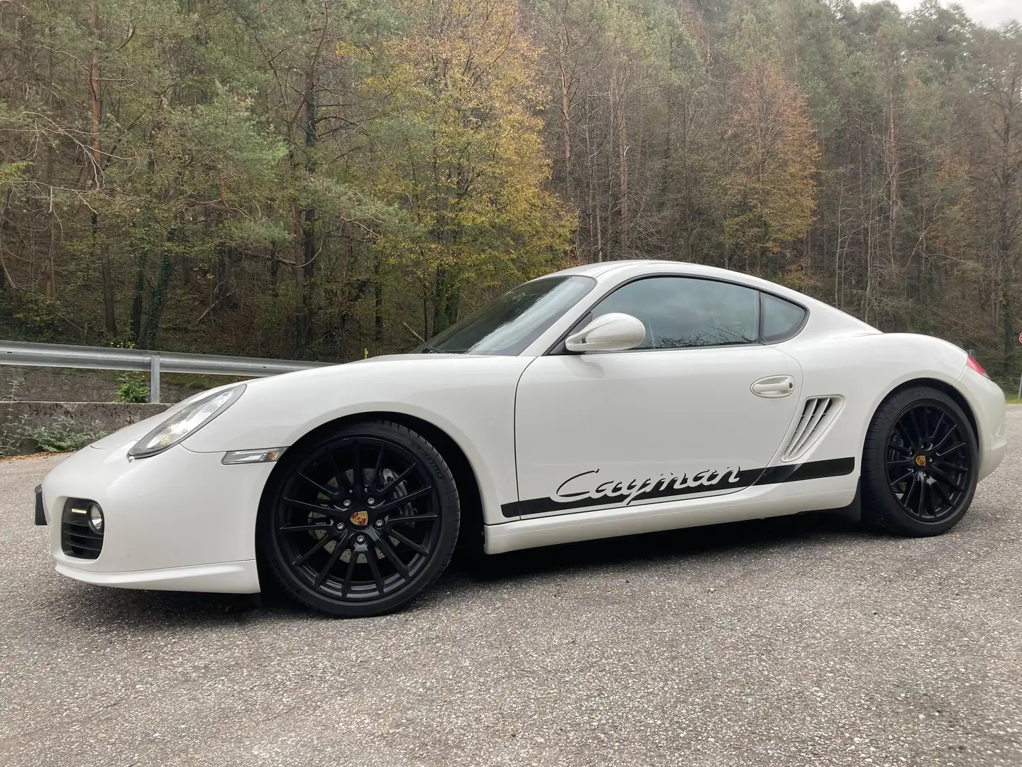 Porsche Cayman 2014 Mk2; 2.9, 265 cv - 1