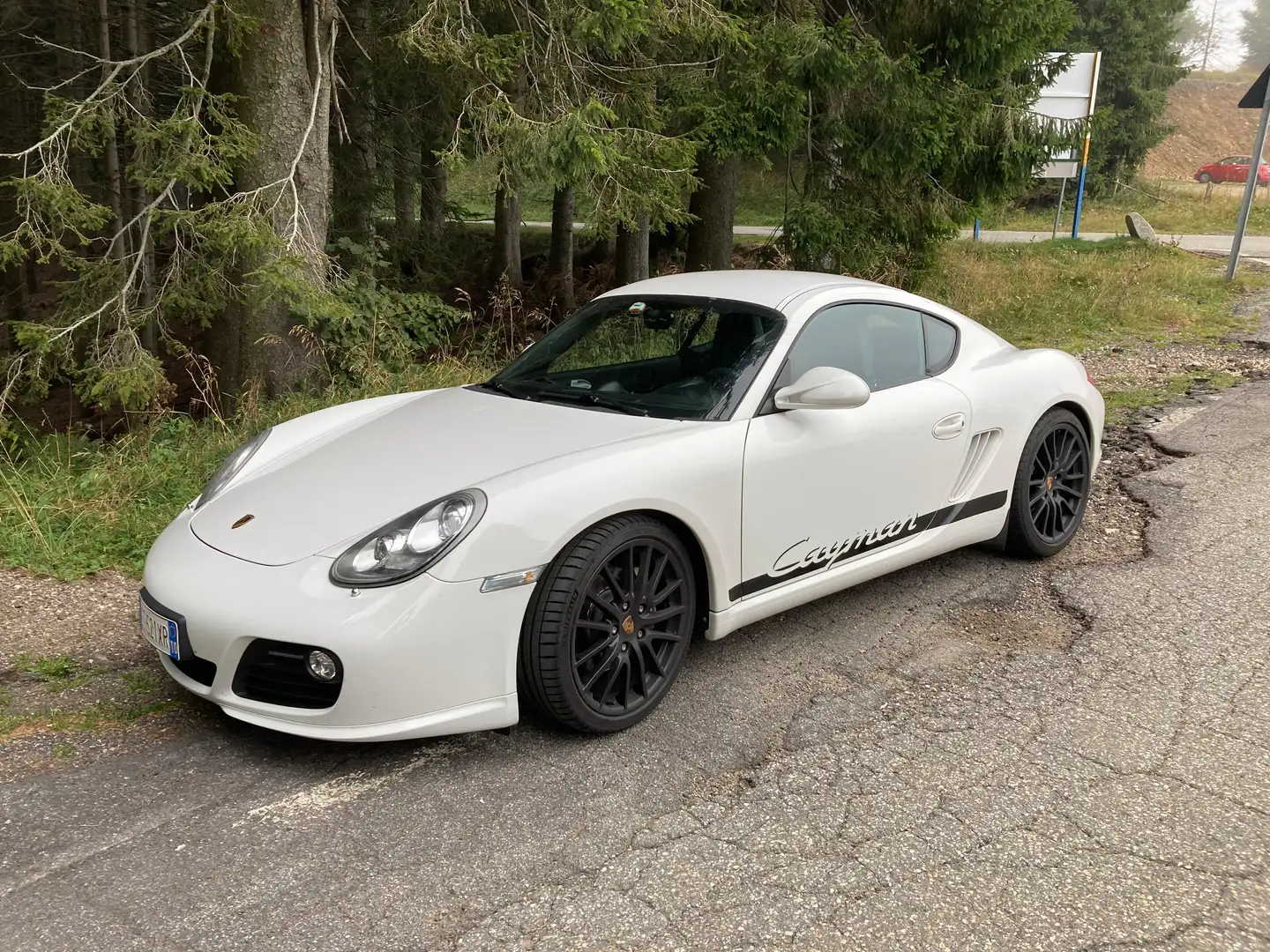 Porsche Cayman 2014 Mk2; 2.9, 265 cv - 2