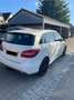 Mercedes-Benz B 180 B 180 CDI / d (246.212) Weiß - thumbnail 4