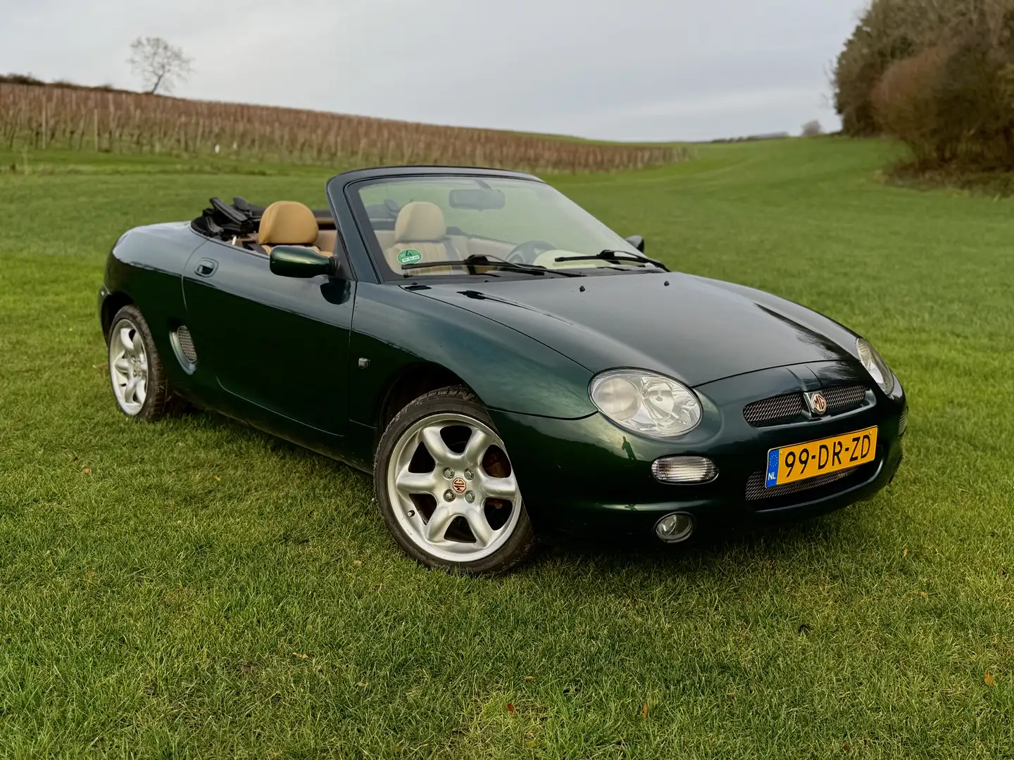 MG MGF MGF originele persauto Grün - 2