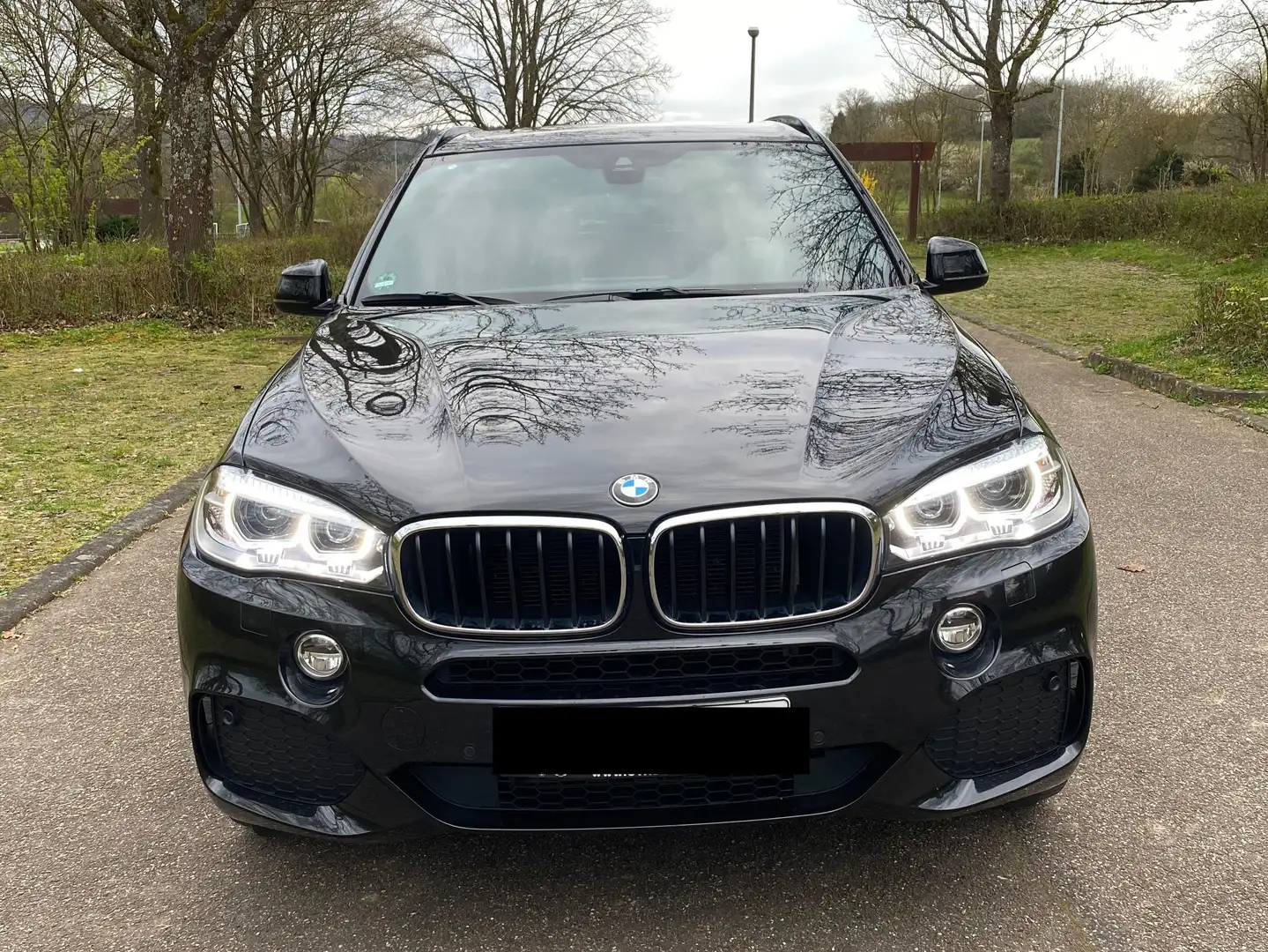 BMW X5 X5 xDrive30d Schwarz - 1