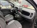 Fiat Panda Panda 1.2 Easy s Nero - thumbnail 9